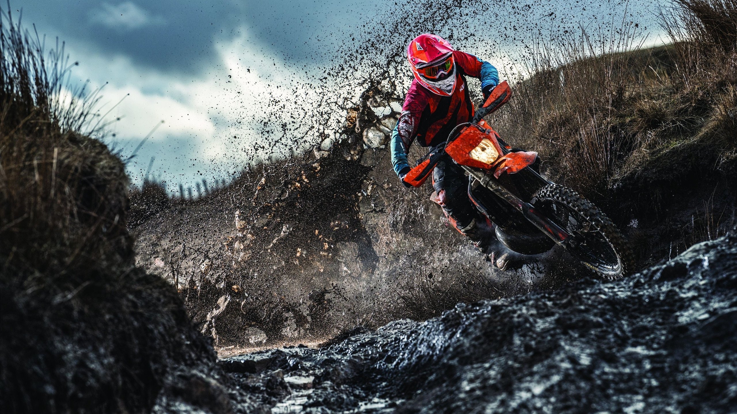 篮网碾压独行侠,锡安关键制胜,新王当立还是昙花一现?